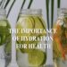 importance of hydration